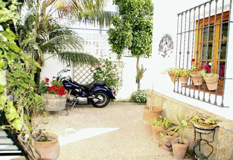 Apartamento Caracola: Plante, Roue, Propriété, Pot De Fleur, Pneu Automobile, Véhicule, Botanique, Architecture