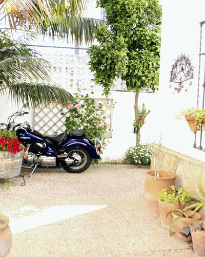 Apartamento Caracola: Plante, Roue, Propriété, Pot De Fleur, Pneu Automobile, Véhicule, Botanique, Architecture