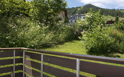 Ferienwohnung Lanius