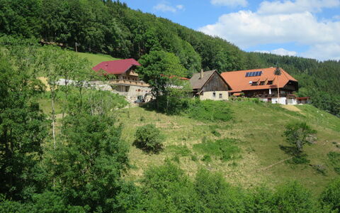 Schmalzenhof: Village De Montagne, La Nature, Végétation, Station De Montagne, Paysage Naturel, Montagnes Relief, Propriété, Colline, Zone Rurale, Montagne