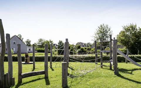 Citta Romana: Herbe, Plante, Lot Terre, Prairie, Jardin, Pâturage, Zone Rurale, Famille Grass, Pelouse