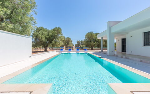 Villa Stella Cadente: L'Eau, Ciel, Bâtiment, Piscine, Bleu Azur, Arbre, Ombre, Rectangle, Herbe, Loisir