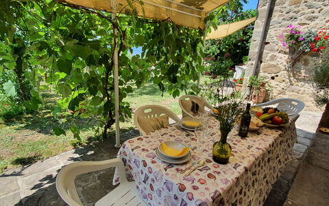 La Casa Del Sole: Plante, Propriété, Table, Botanique, La Nature, Fleur, Paysage, Chaise, Mobilier De Jardin, Terrestre Des Plantes