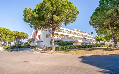 Résidence du Golfe: Arbre, Ciel, Propriété, Architecture, Immobilier, Suppression Des Plantes Ligneuses, Zone Résidentielle, Plante, Route, Maison