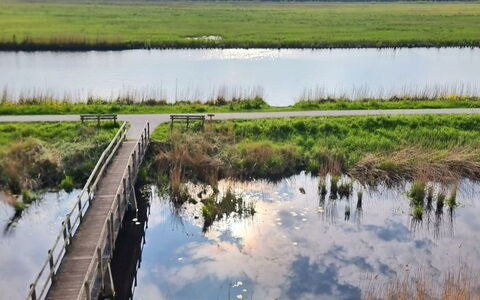 Natuurlijk de Veenhoop: L'Eau, Ressources En Eau, Environnement Naturel, Le Marais, Paysage Naturel, Pont, Voie Navigable, Plaine, Cours D'Eau