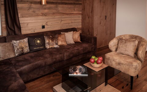 Galaxy Lodge: Marron, Canapé, Meubles, Propriété, Confort, Table, Bois, Canapé-Lit, Design Intérieur, Salon