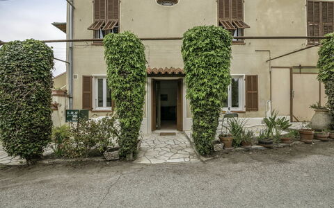 Le Narcisse: Plante, Fenêtre, Bâtiment, Propriété, Porte, Lot Terre, Maison, Quartier, Mur