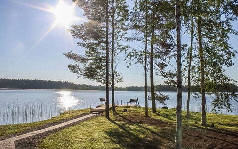 Suvituuli: Bois, Sol, Sol, Meubles, Parquet, Design Intérieur, Lit Superposé, Pièce, Tache De Bois, Dur