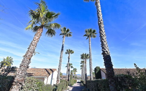 Roquebrune sur Argens 200: Ciel, Bleu, Végétation, Suppression Des Plantes Ligneuses