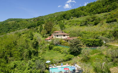 Il Castagneto