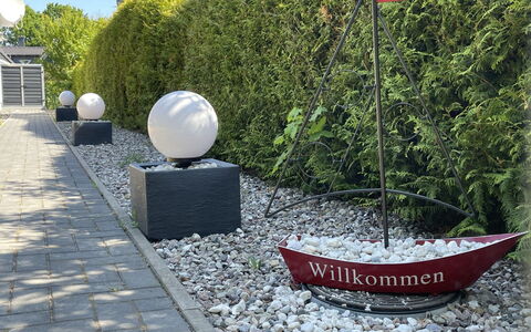 Kleine Möwe: Plante, Botanique, Bateau, Herbe, Surface De La Route, Suppression Des Plantes Ligneuses, Paysage, Loisir, Design Urbain, Arbuste