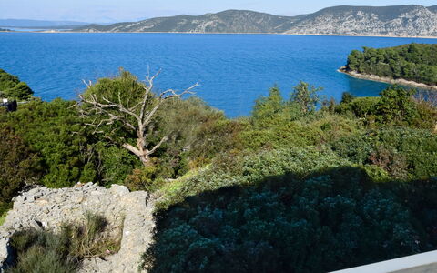 Lolita: Paysage Naturel, Végétation, L'Eau, Mer, Bleu Azur, Région Sauvage, Côte, Promontoire, Arbre, Tourisme