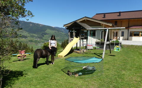 Umbichl: Propriété, Loisir, Montagne, Herbe, Immobilier, Paysage, Chaîne De Montagnes, Maison, Lot Terre, Ranch