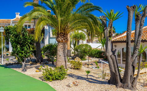 La Camarrocha: Propriété, Arbre, Immobilier, Palmier, Maison, Biens, Domicile, Zone Résidentielle, Bleu Majorelle, Bâtiment