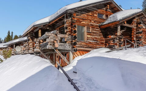 Sallanhelmi E2: Chalet, Maison, Domicile, Batiments Jardin, Siding, Cabane En Rondins, Ferme, Biens, Cabanon, Cour