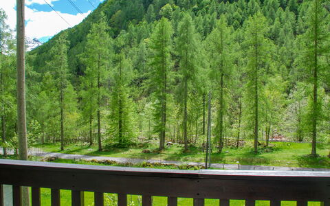 Ai Casell: La Nature, Paysage Naturel, Arbre, Vert, Biome, Environnement Naturel, Station De Montagne, Réserve Naturelle, Région Sauvage, Clôture