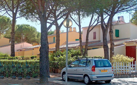 Le Centaure: Véhicule, Voiture, Transport, Arbre, Quartier, Ville, Mode De Transport, Berline, City Car