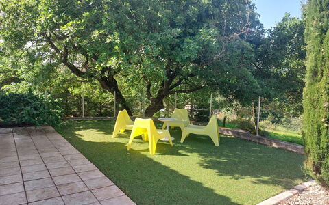 Bois D'Astros: Vert, Feuille, Herbe, Arbuste, Jardin, Pelouse, Ombre, Couverture De Sol, Printemps, Suppression Des Plantes Ligneuses