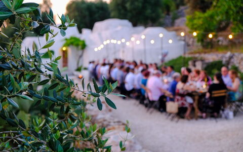 Corte dei Messapi | Sleeps 24: Plante, Feuille, Botanique, Herbe, Loisir, Suppression Des Plantes Ligneuses, Arbre, Matin, Été, Fleur
