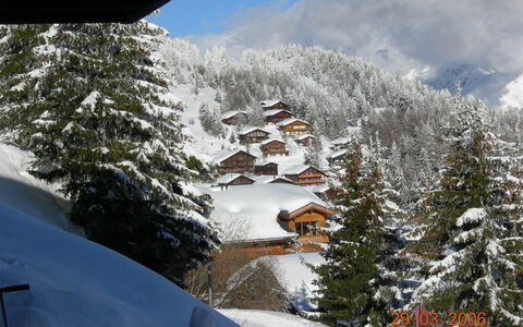 Konkordia 1 Eg Süd: Plante, Ciel, Nuage, Bâtiment, Arbre, Bois, Lot Terre, Fenêtre, Zone Résidentielle, Loisir
