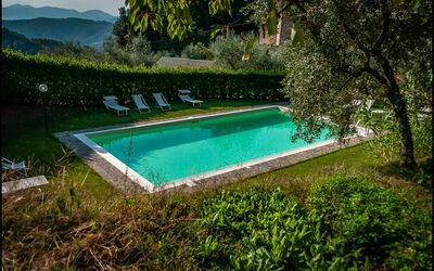 location de vacances Orto degli Olivi Proprietà - Santa Maria Albiano, Toscane, Italie