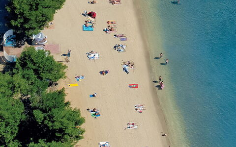 Ivanka: Plage, Photographie Aérienne, Le Sable, Arbre, La Photographie, Monde, Côte, Paysage, Cotiers Et Relief Océaniques, Loisir