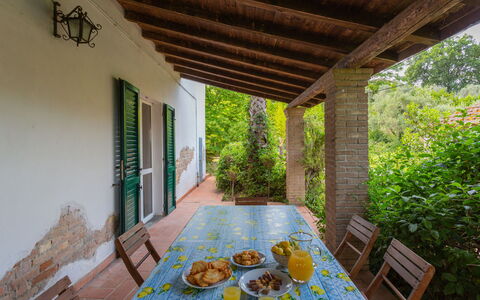 Fonte del Ceppo 1: Bâtiment, Propriété, Plante, Bois, Fenêtre, Design Intérieur, Éclairage, Architecture, Maison, Sol