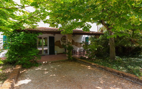 Fonte del Ceppo 1: Plante, Bâtiment, Propriété, Fenêtre, Arbre, Maison, Ombre, Végétation, Lot Terre