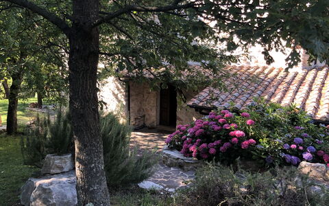 Beautiful Stone Country Villa: Arbre, Mur, Plante, Printemps, Fleur, Maison, Botanique, Jardin, Arbuste, Zone Rurale