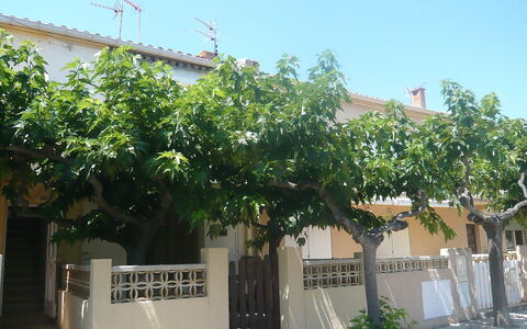 Corsaires 63: Arbre, Plante, Suppression Des Plantes Ligneuses, Immobilier, Fleur, Arbuste, Maison