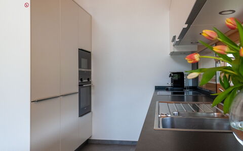 Les Penguins: Meubles, Plante, Bâtiment, Cabinetry, Fleur, Cuisine, Maison, Design Intérieur, Vase, Sol