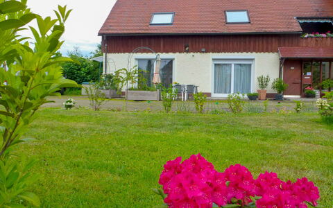 Schmetterlingsgarten: Plante, Fleur, Bâtiment, Propriété, Communauté Des Plantes, Fenêtre, Ciel, Maison, Pétale, Nuage