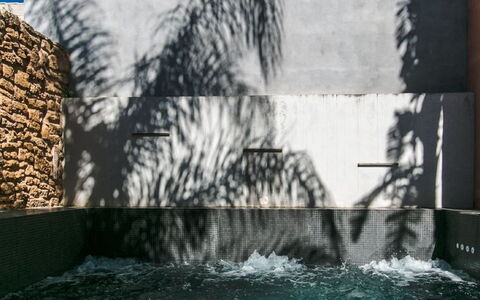 Sa Muralla: L'Eau, La Nature, Bâtiment, Herbe, Arbre, Rectangle, Mur, Suppression Des Plantes Ligneuses, Adaptation, Arecales