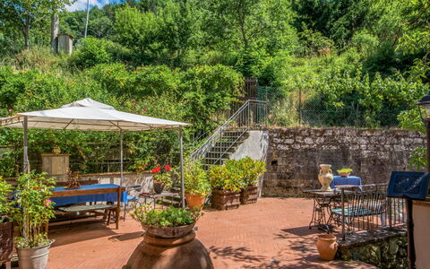Il Mulinaccio: Propriété, Arbre, Jardin, Botanique, Arrière-Cour, Immobilier, Plante, Maison, Paysage, Cour