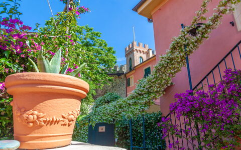 Portovecchio Apartments - Levanto: Fleur, Vert, Rose, Printemps, Pot De Fleur, Plante D'Appartement, Balcon, Art Floral, Floristique