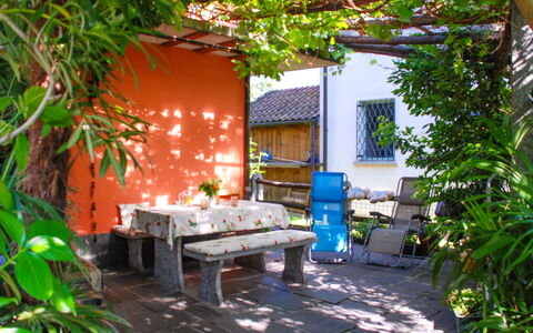 Verzaschina: Plante, Meubles, Extérieur Banc, Bâtiment, Feuille, Botanique, Ombre, Végétation, Mobilier De Jardin, Bois