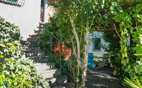 Verzaschina: Plante, Propriété, Fenêtre, Bâtiment, Porte, Biome, Suppression Des Plantes Ligneuses, Arbuste, Arbre, Immobilier