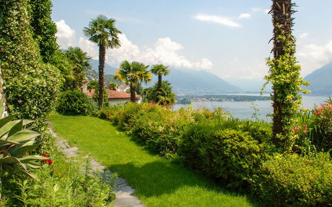 Panorama Lakeview Lago Maggiore: Végétation, La Nature, Paysage Naturel, Propriété, Jardin, Arbre, Herbe, Immobilier, Ciel, Botanique