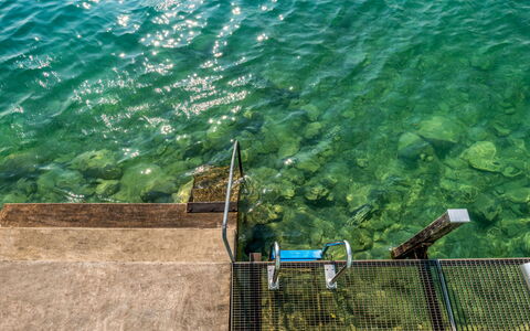 Seestern Direkt am See: L'Eau, Vert, Mer, Océan, Net, Côte, Vacances, Plante, Loisir, Vague