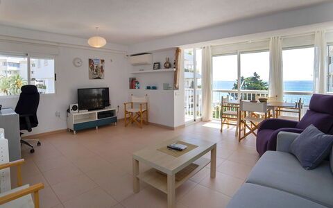 Santa Cruz: Table, Meubles, Bâtiment, Canapé, Cadre, Fenêtre, Plante D'Appartement, Bois, Chaise, Sol