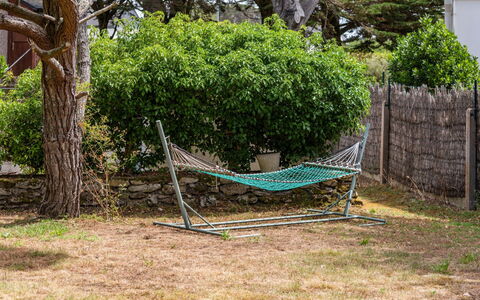 Ty Jeanne: Vert, Arbre, Herbe, Cour, Plante, Suppression Des Plantes Ligneuses, Arrière-Cour, Balançoire, Jardin, Maison