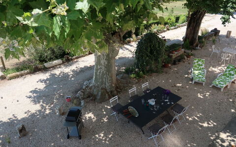 Mas de la Gourmette: Arbre, Feuille, Plante, Botanique, Jardin, Herbe, Cour, Adaptation, Paysage, Arbuste