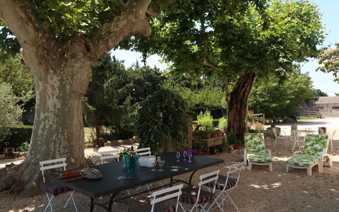 Mas de la Gourmette: Propriété, Arbre, Table, Restaurant, Immobilier, Suppression Des Plantes Ligneuses, Arrière-Cour, Bâtiment, Maison, Cour