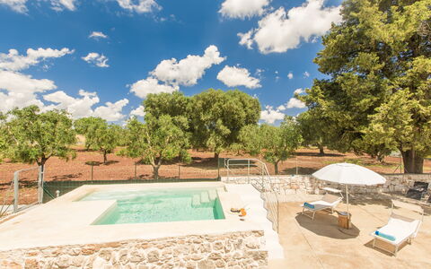 Trullo Del Pioppo Gigante: Nuage, Ciel, Jour, Propriété, Plante, Arbre, Piscine, Ombre, L'Eau, Lot Terre