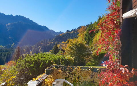 Henri: Ciel, Plante, Montagne, Feuille, Paysage Naturel, Lumière Du Soleil, Biome, Herbe, Paysage, Arbre