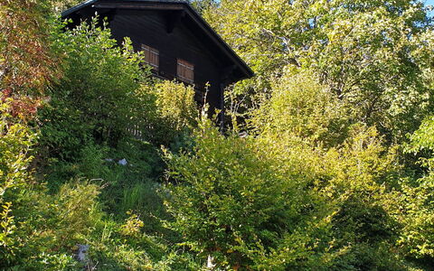 Henri: Ciel, Propriété, Communauté Des Plantes, Plante, Voiture, Véhicule, Véhicule À Moteur, Branche, Maison