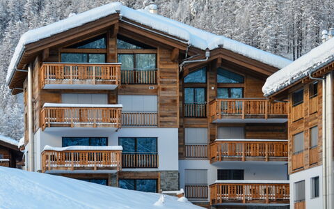 Dione: Neige, Bâtiment, Fenêtre, Bois, Pente, Arbre, Maison, Chalet, Gelé, Biome