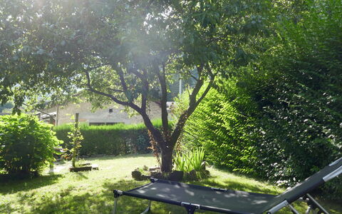La Casina: Plante, Communauté Des Plantes, Table, Ombre, Arbre, Botanique, Paysage Naturel, Végétation, Mobilier De Jardin, Tableau De Plein Air