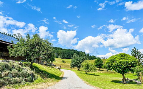 Hofstetten 650: Bleu, Vert, Herbe, La Nature, Paysage Naturel, Nuage, Été, Paysage, Arbuste