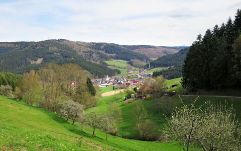 Hofstetten 650: Ciel, Propriété, Plante, Arbre, Bâtiment, Lot Terre, Pente, Ombre, Asphalte, Bois
